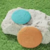 Flying Disc()