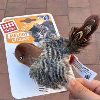 Cat Toy Chirping Bird